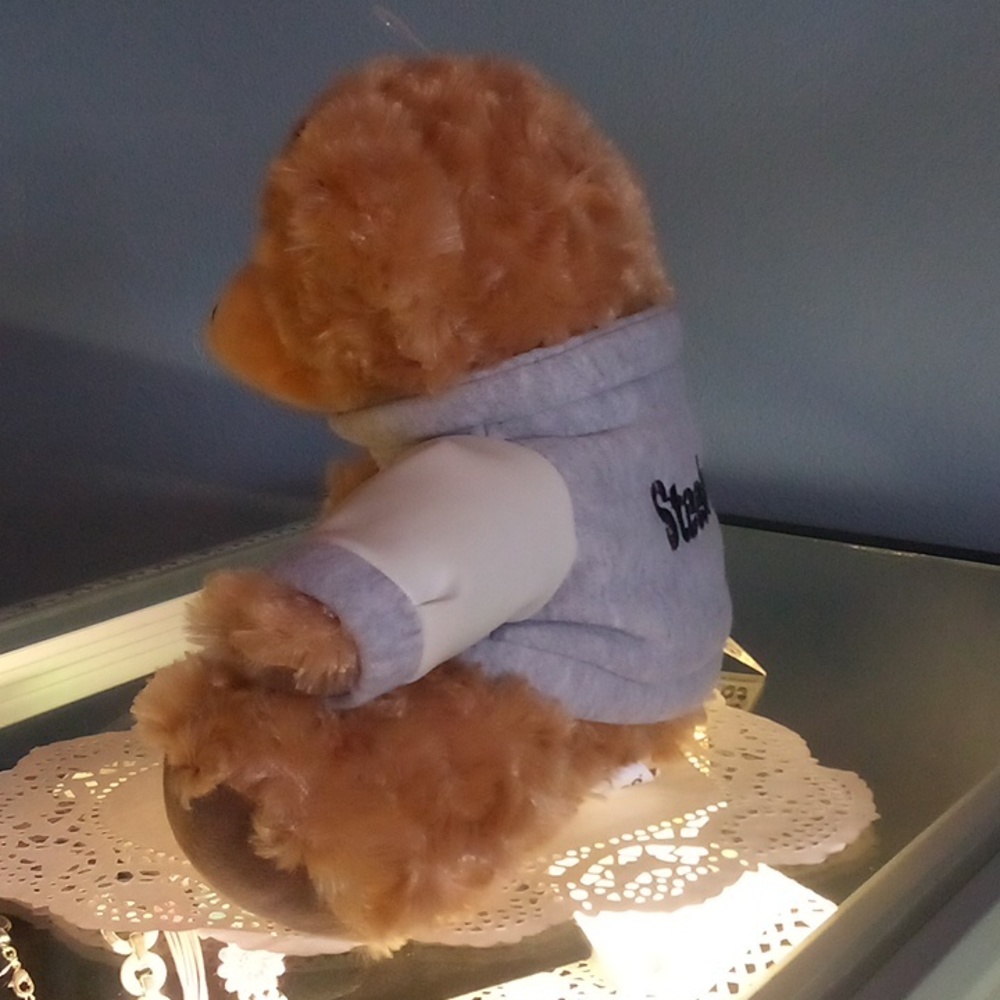Teddybear - Picture 2 of 3
